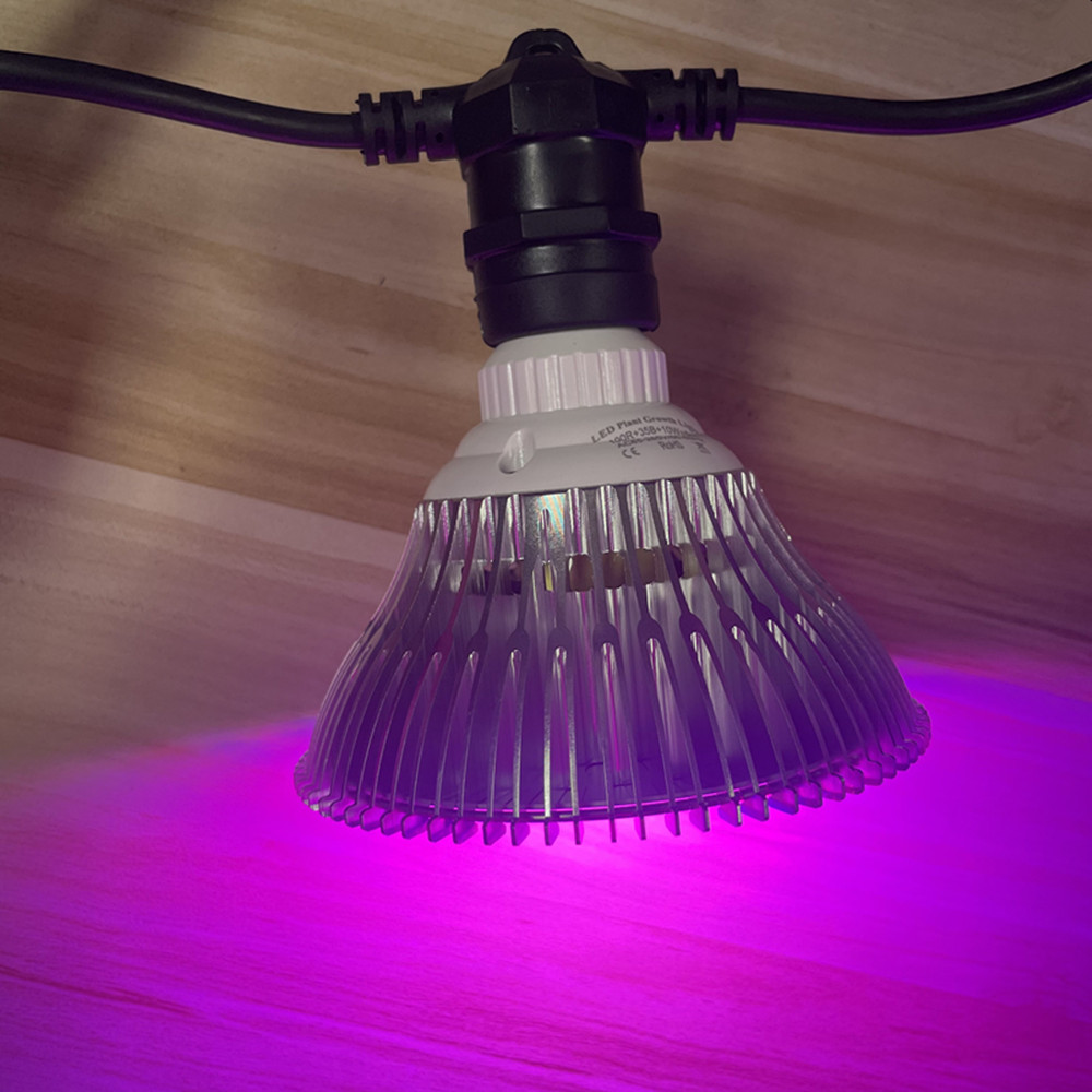 10M Cable LED String Commercia - огляд і ціна Outdoor Lighting Strip
