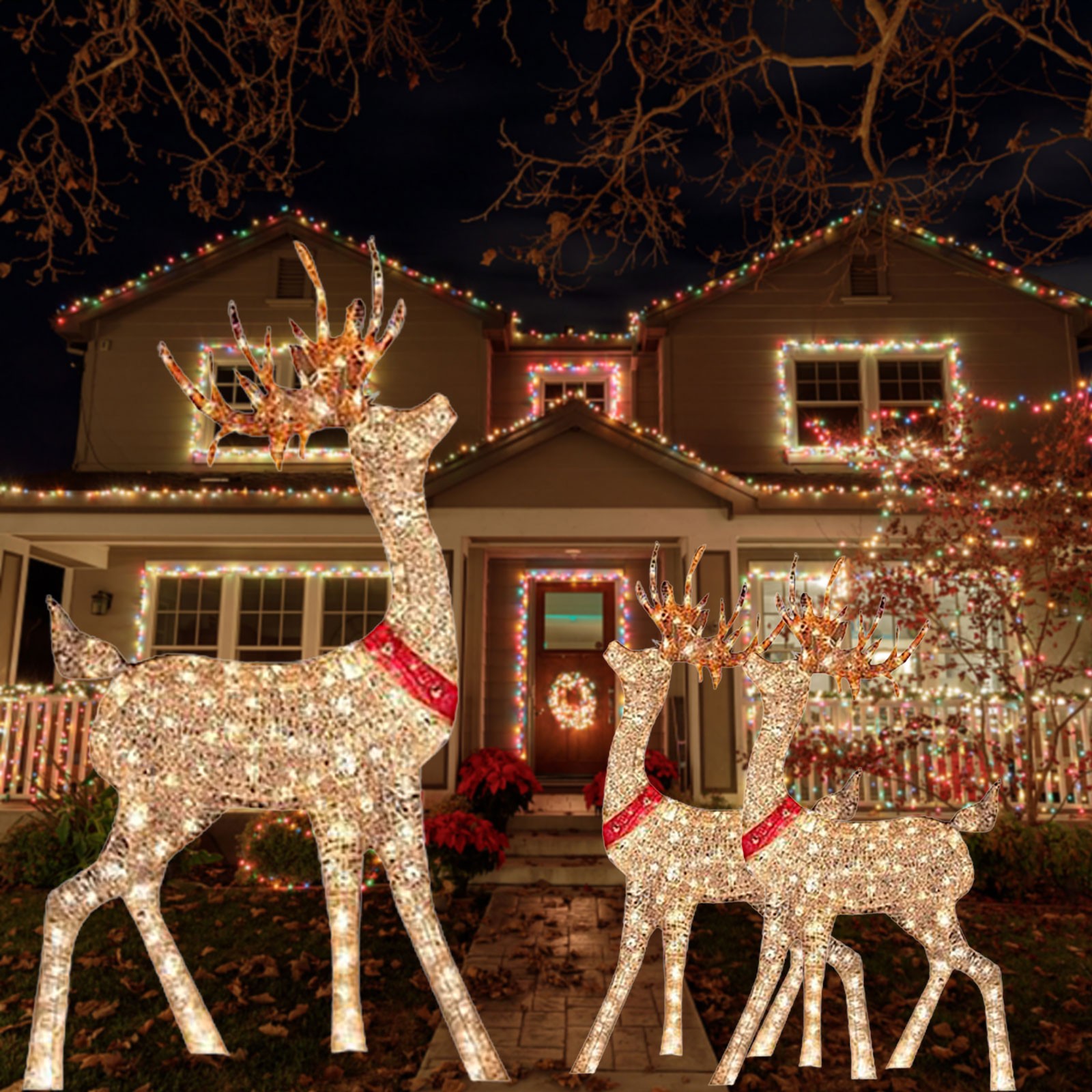 Lighted Christmas Decoration D - огляд і ціна Outdoor Lighting Event
