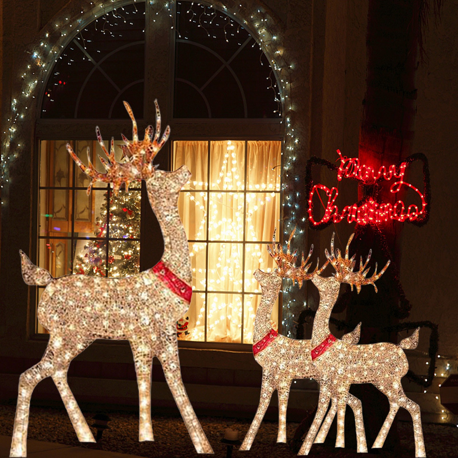 Lighted Christmas Decoration D - огляд і ціна Outdoor Lighting Event
