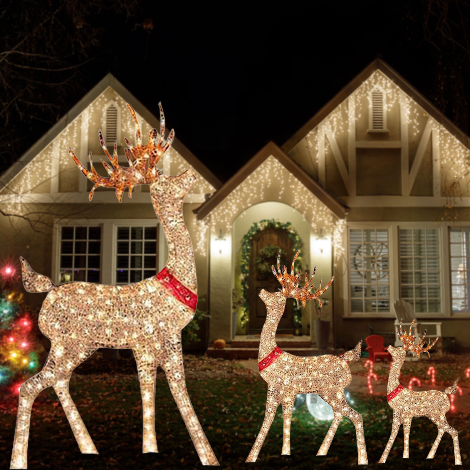 Lighted Christmas Decoration D - огляд і ціна Outdoor Lighting Event