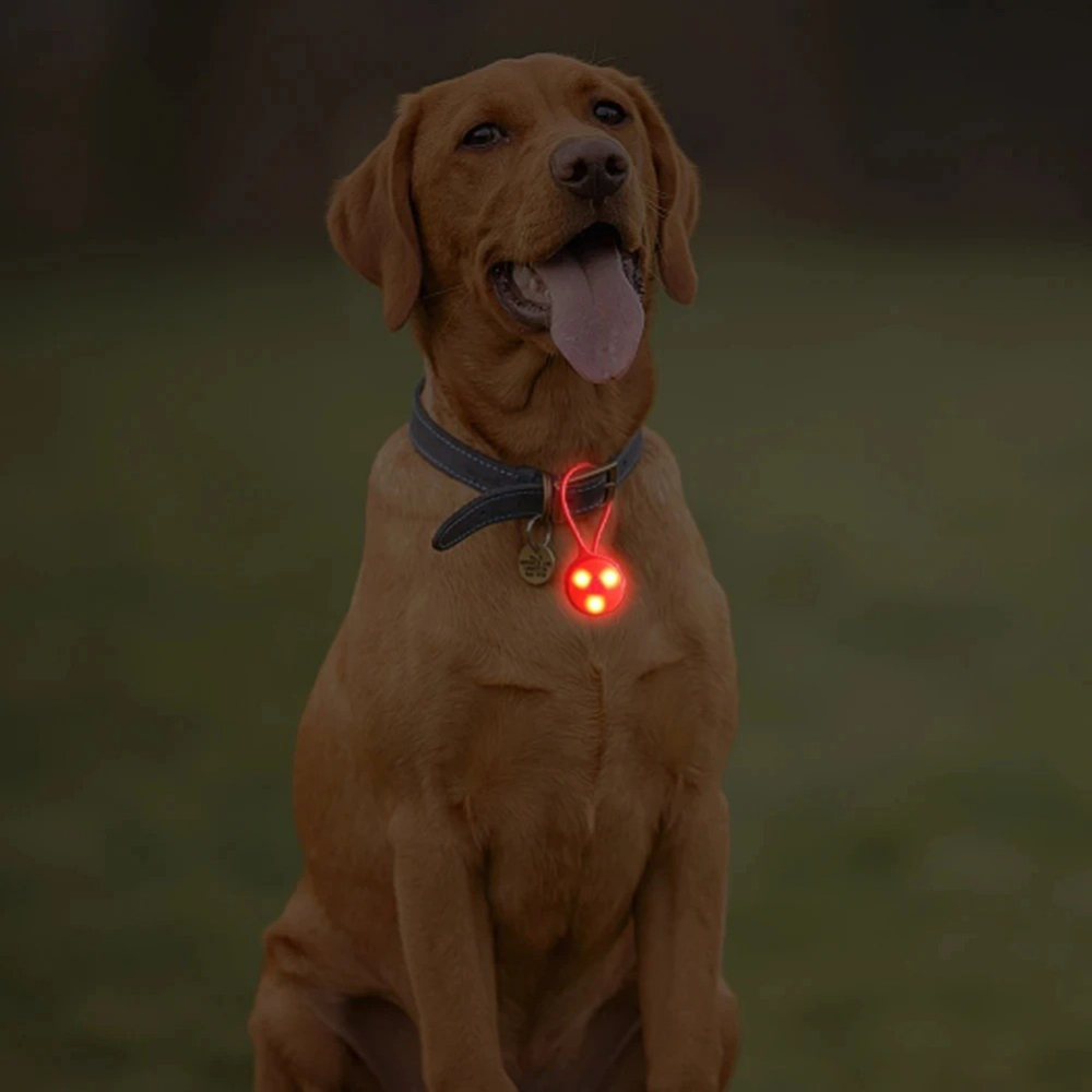 Outdoor Backpack Lights Silico - огляд і ціна Outdoor Lighting Strip