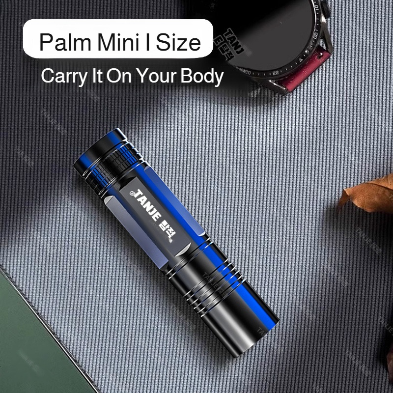 Outdoor Flashlight Small Mini  - огляд і ціна Outdoor Lighting Lowes