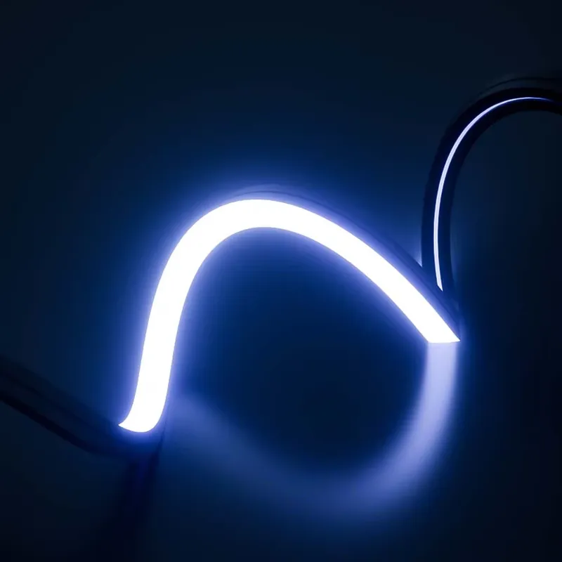 PERFECT Dream Color Led Neon S - огляд і ціна Outdoor Lighting Strip